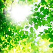 睡眠と太陽光の関係について
