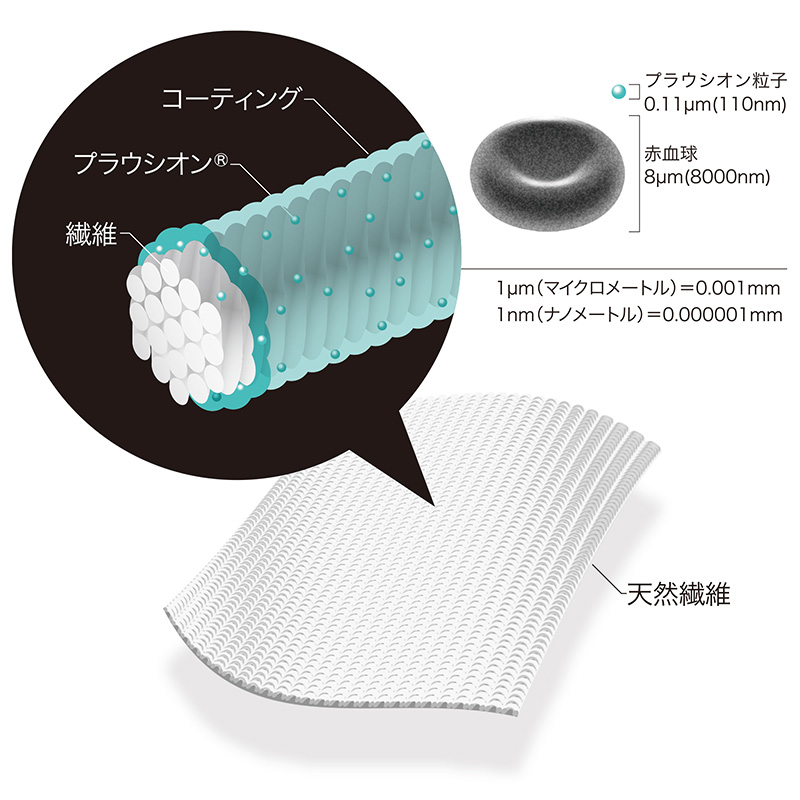 プラウンシオン